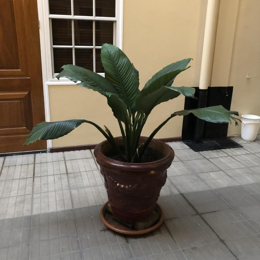 101 Suites Paramaribo Kültér fotó